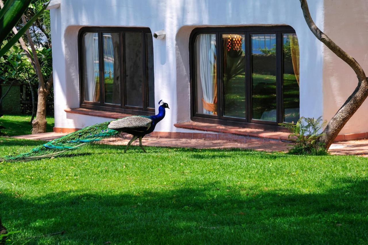 Arbatax Park Resort - Ville del Parco Esterno foto